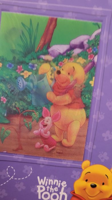 Brulion Twarda oprawa z Kubusiem Puchatkiem  3D
