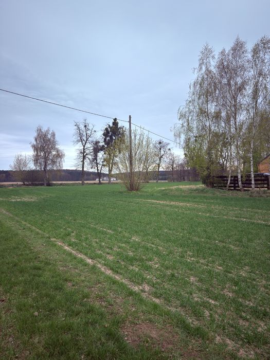 Działki 1000, 1000 oraz 1500 m2