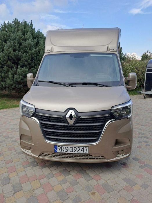 Renault Master - koniowóz - automat - nowa zabudowa - gwarancja