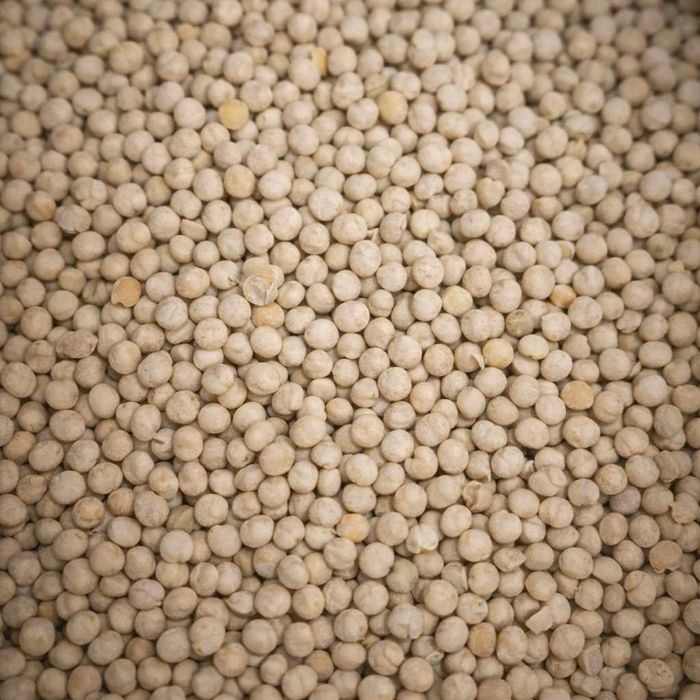 GROCH batuta sprzedam