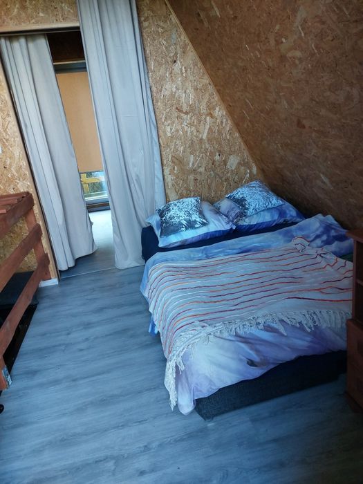 Zielony domek nad jeziorem