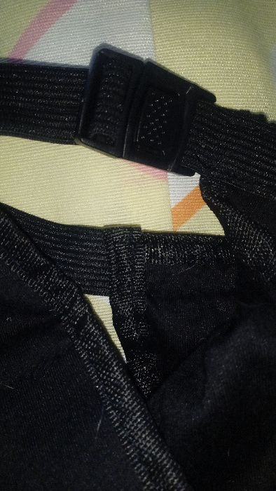 Cueca protetora para cadela em cio