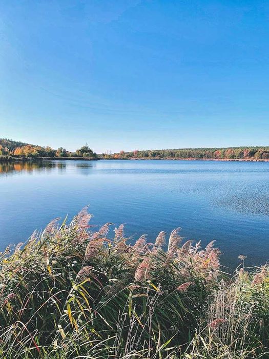 Участок 24 сотки с выходом к природному озеру Ходосовка собственник