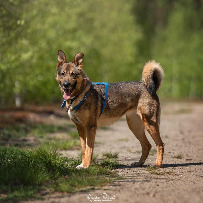 Od 4 lat Kirze nikt nie dał szansy...