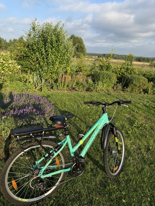Rower KELLYS Alpina Bike Eco LT10