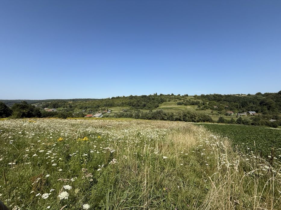 Продаж земельної ділянки в селі Поляна