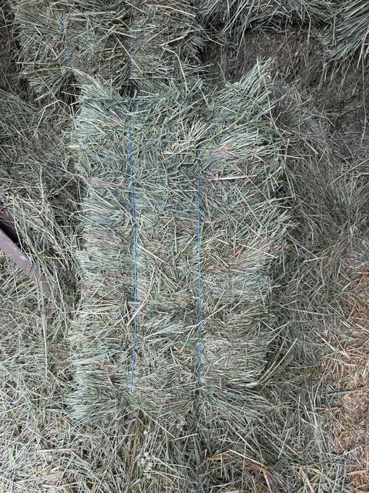 Продам сено в тюках