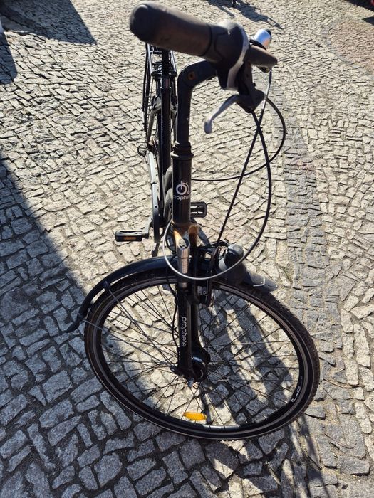 Rower Damka prophete 28