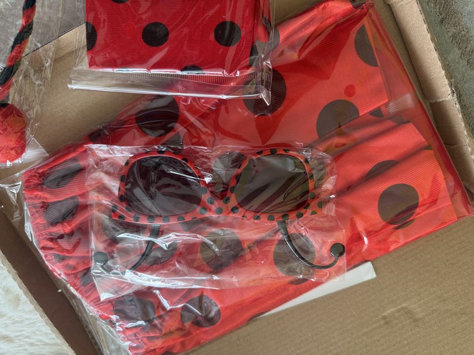 Kostium biedronki dla dzieci