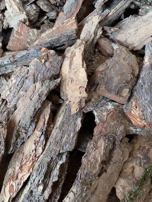 Кора соснова для оздоблення інтерєру, мульча