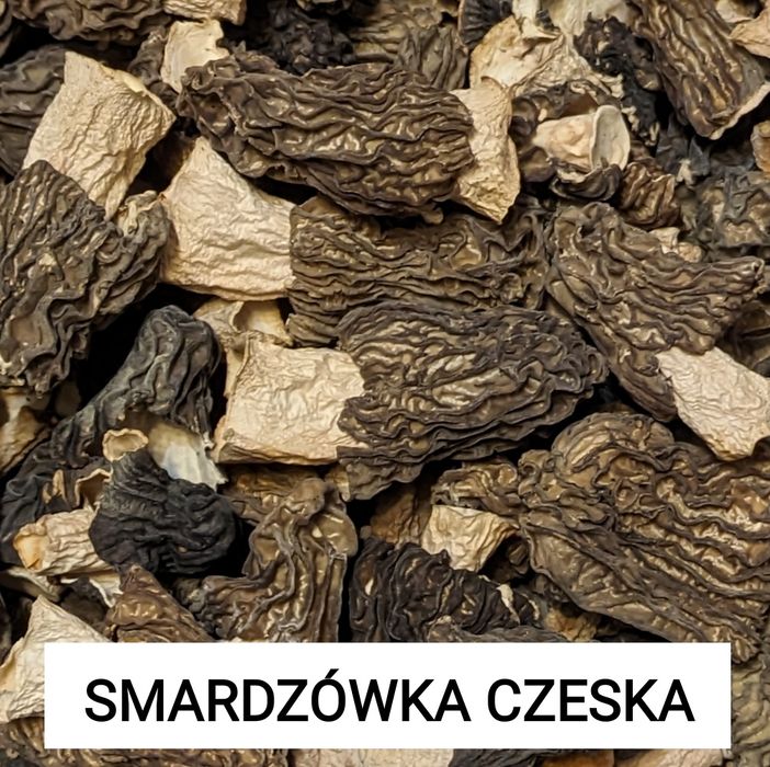 Smardzówka czeska (Verpa bohemica), suszona, 50g.