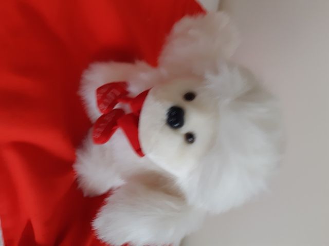 Romântico Cãozinho em Peluche