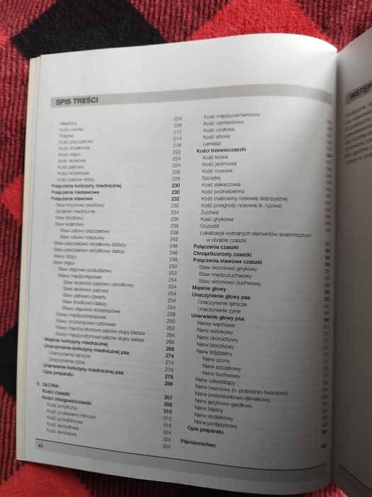 Anatomia zwierząt do kolorowania