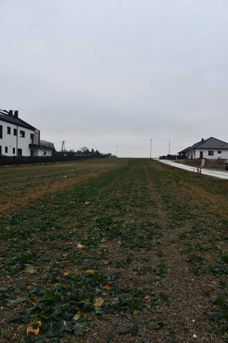 Działka z warunkami zabudowy we Włoszczowie