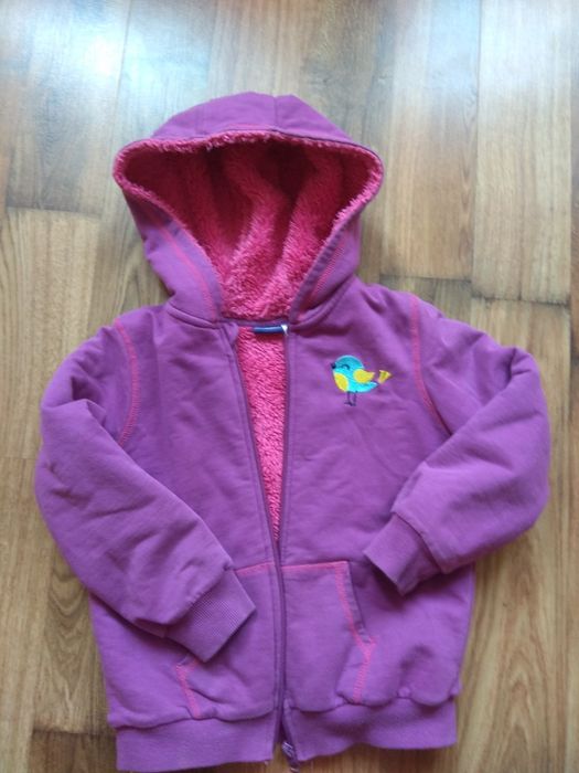 Kurteczka wiosenna lupilu