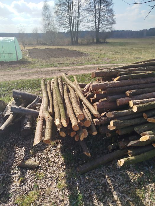 Stemple, slupki idealne na ogrodzenie tymczasowe , do siatki!