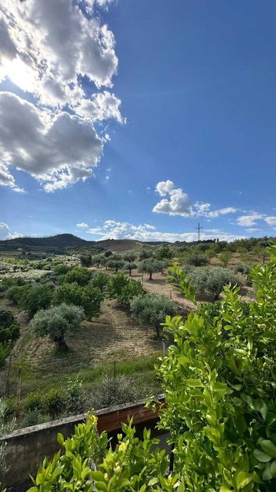 Terreno de 1,04 ha em Vila Flor (Vale da Vilariça) – Com Água (Furo/Tanque), Armazém Agrícola e Vistas Fantásticas