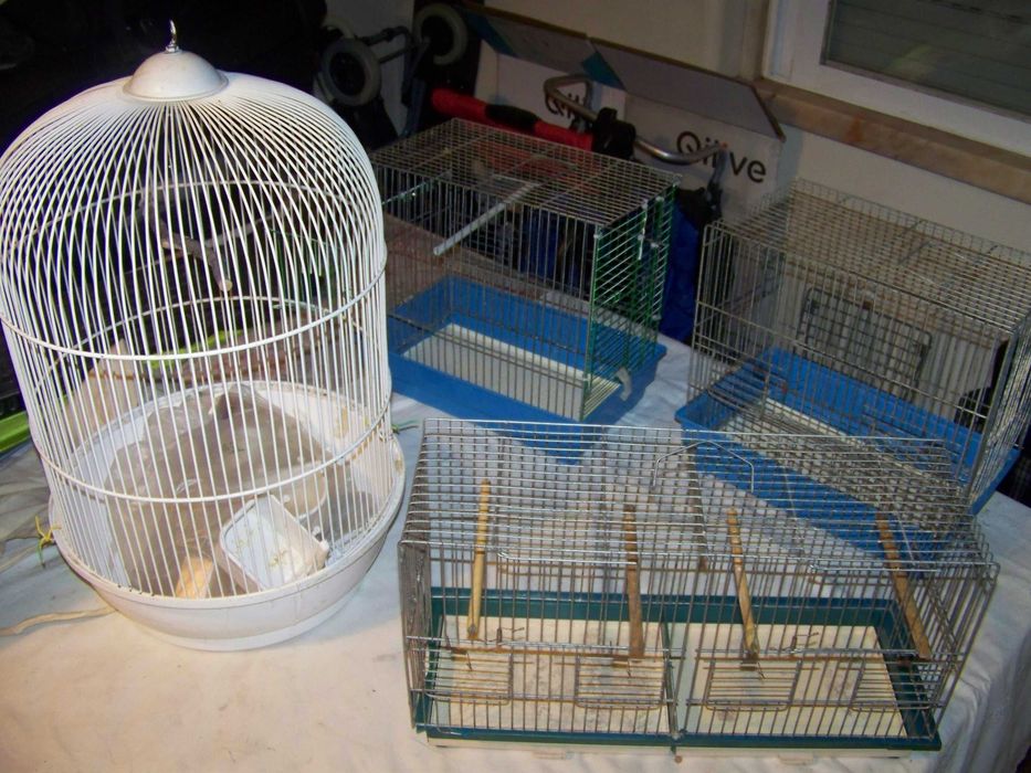 3 gaiolas para pássaros e comedouros