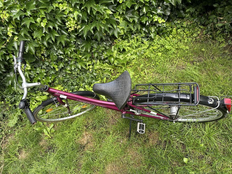 Rower miejski damski damka Pegasus avanti 28’