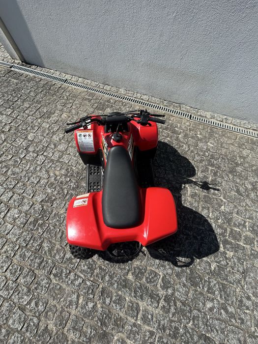 Suzuki LT-A50 Quad Master