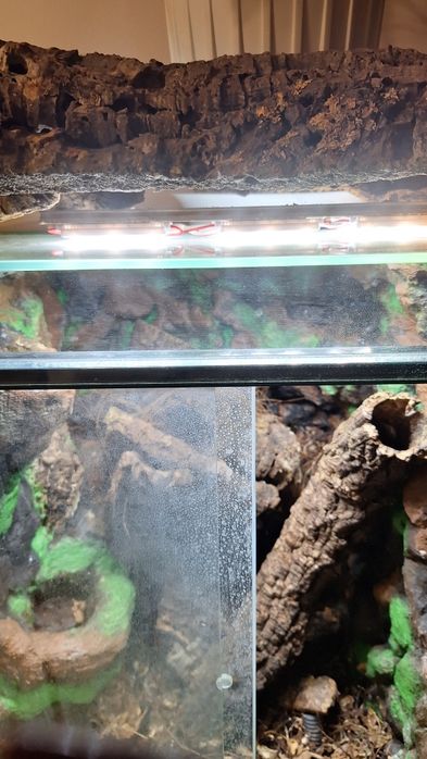 Terrarium z oświetleniem