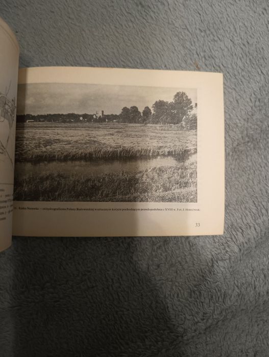 Trzy dni w Puszczy Białowieskiej