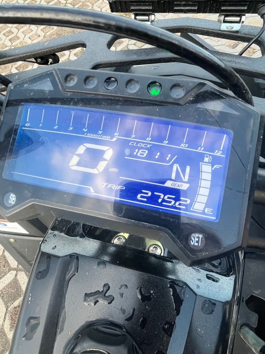 Quad 250  Asx Magnum