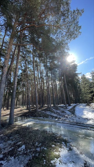 Продаж земельної ділянки поряд з лісом та водоймою (під базу відпочин.