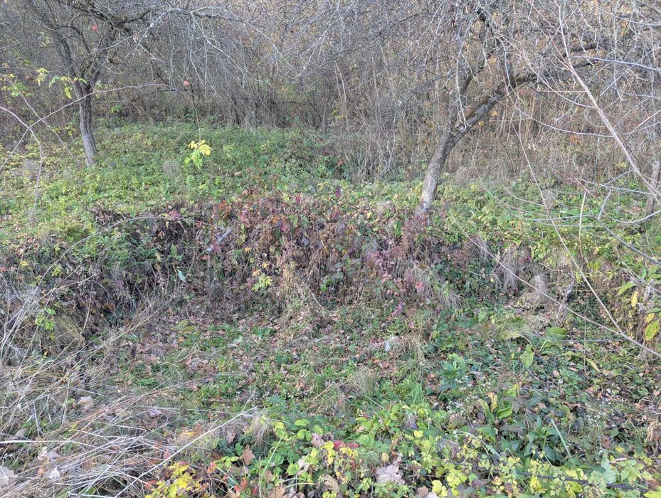 Продається будинок у с. Підгір'я (12)