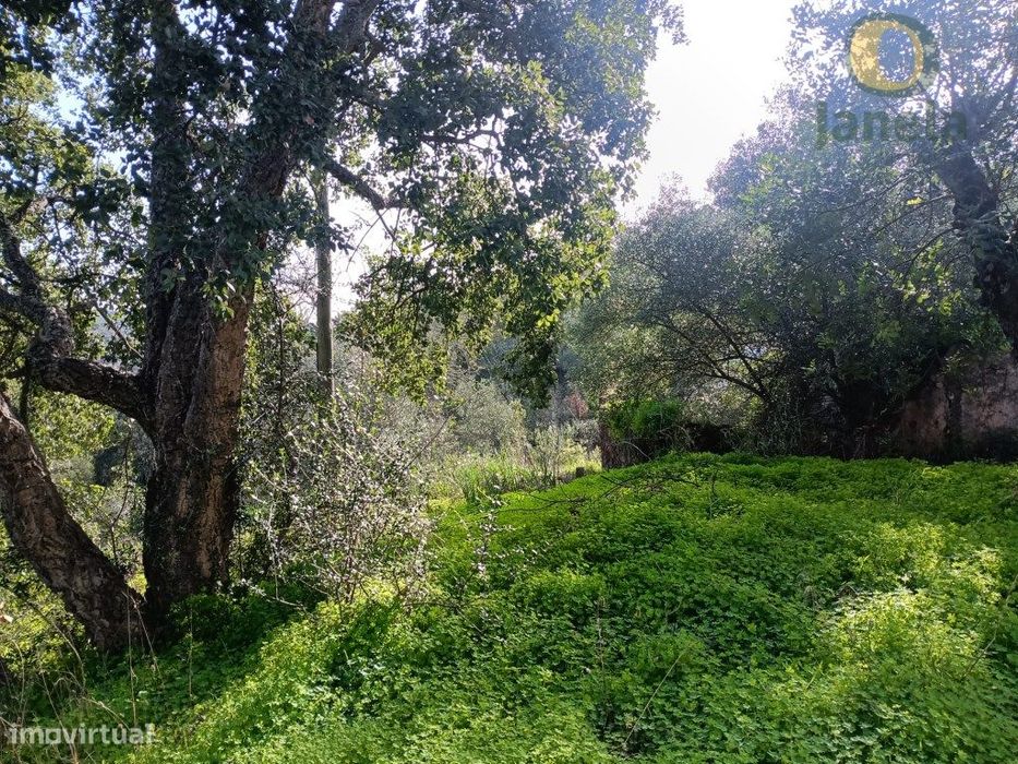 Terreno Venda Loulé