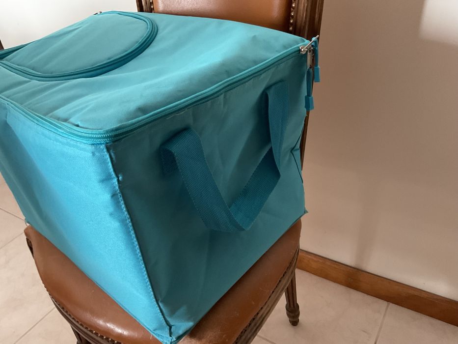 Mala térmica grande para merenda ou piquenique – excelente estado