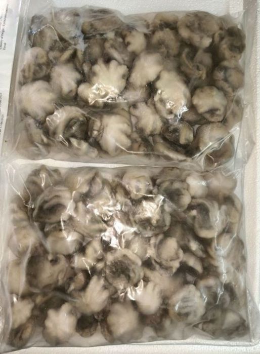 М'ясо мідії Чилі 100/200 . Туба кальмара очищена