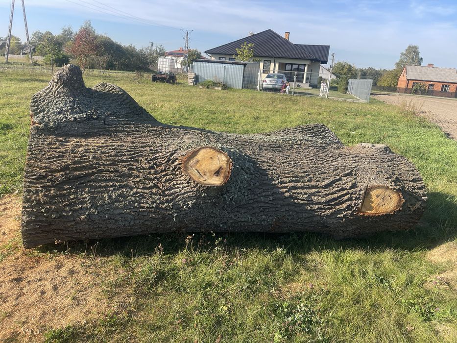 Sprzedam klode debowa