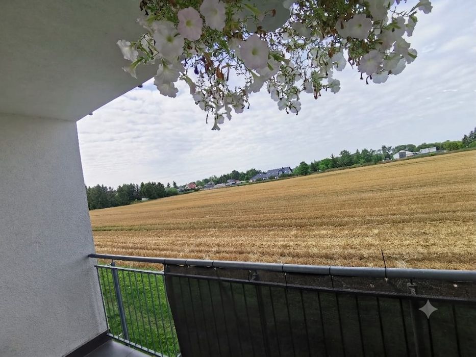 Zdjęcie 3