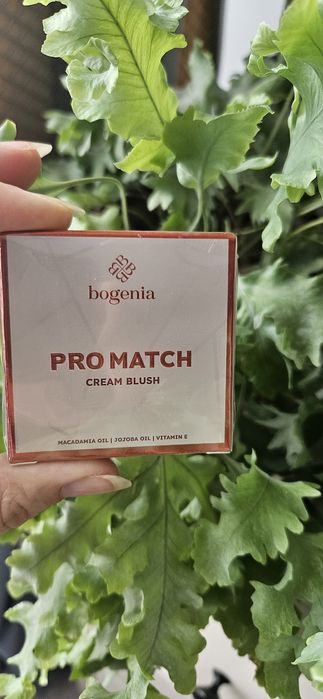 Пропоную Вашій увазі!