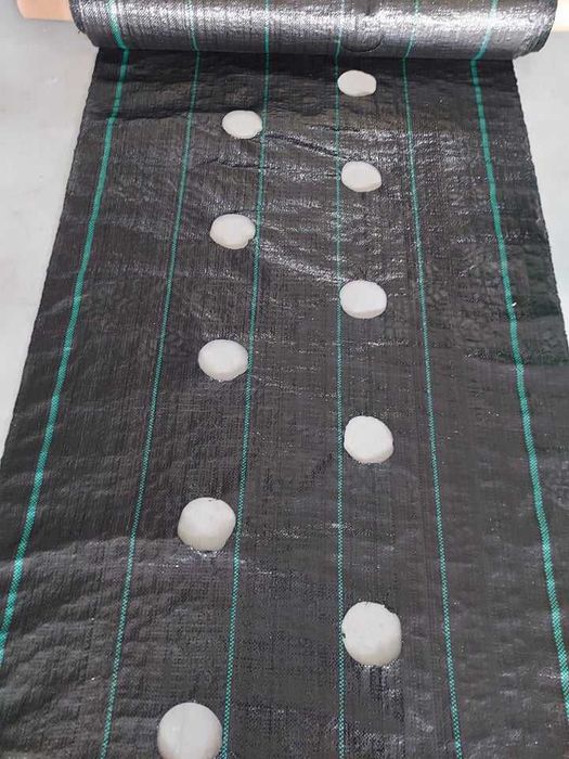 Agrotkanina czarna 1,1m x 100m P-90 z otworami