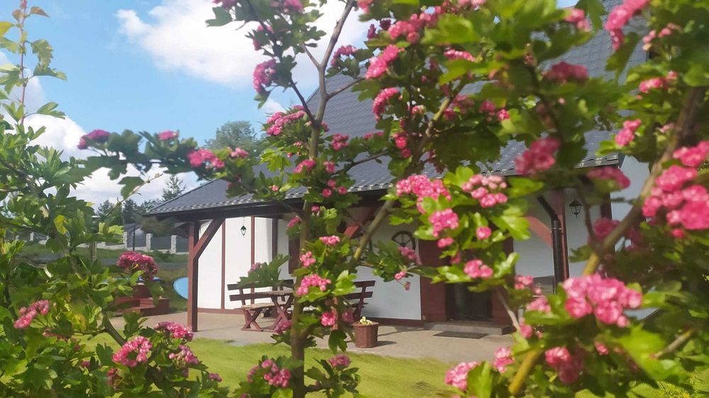 Kaszuby - Domek nad jeziorem z kominkiem, sauną i balią na drewno