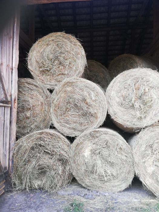 Sprzedam siano w balach