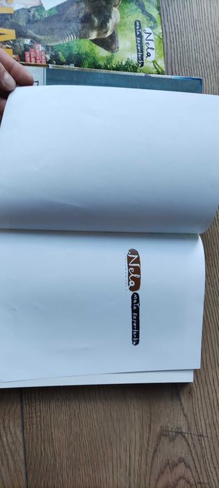 Książka  Nela mała Reporterka