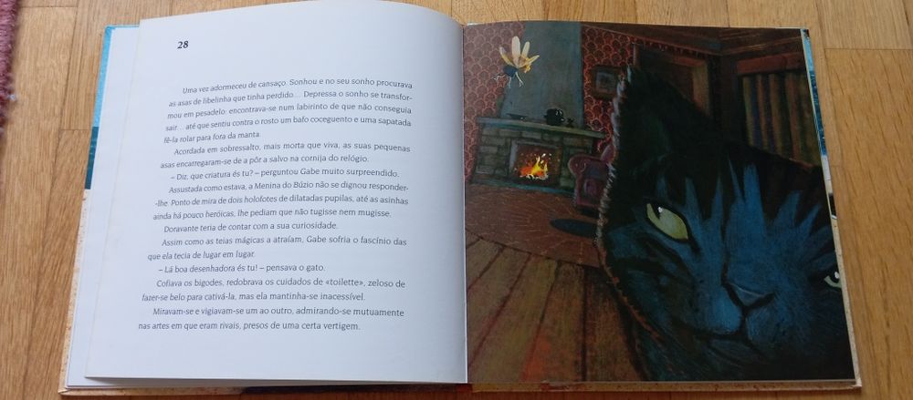 Livro a menina do búzio