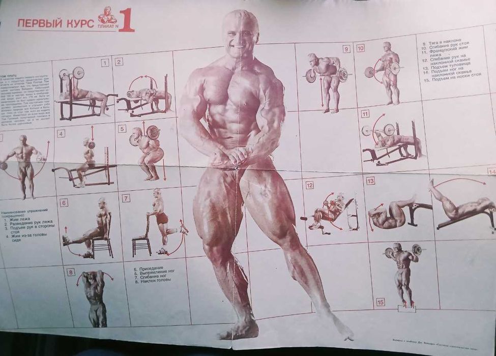 Дж. Вейдер Система строительства тела