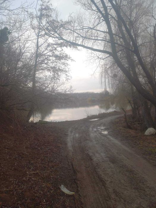 Продається земельна ділянка в смт. Стрижавка 6828