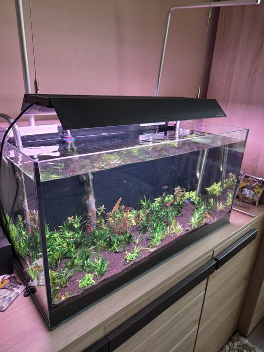 Akwarium 112 litrów