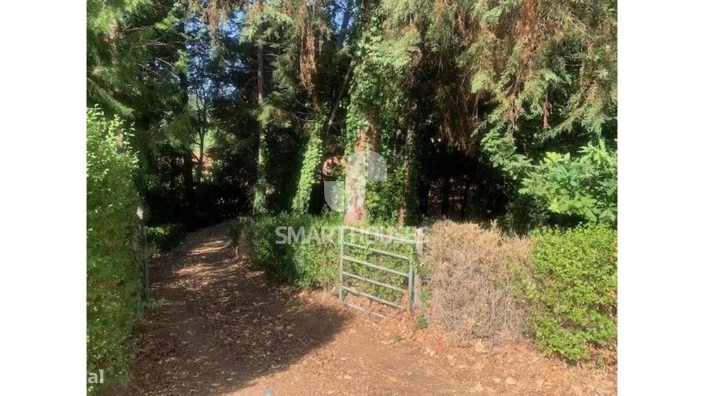 Quinta T1 Secarias junto rio Alva