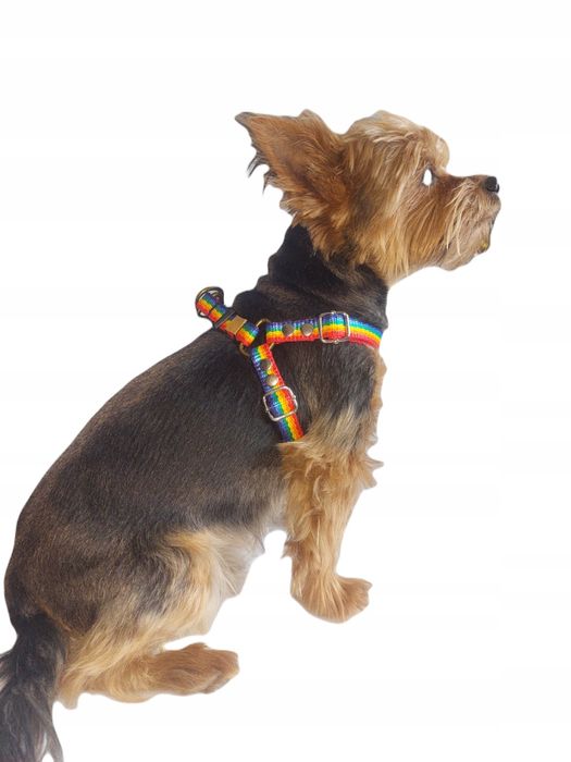 szelki dla małego psa ml 35/57 ozdobne sunka ultra