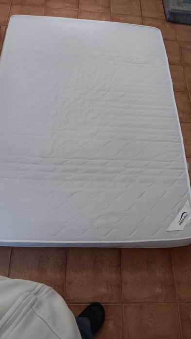 Vendo bi-cama com colchões!