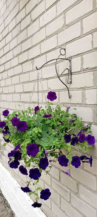 Кронштейн для квітів