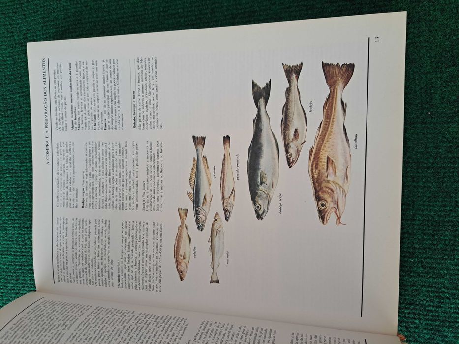 O Grande Livro Ilustrado da Culinária - Terence e Caroline Couran