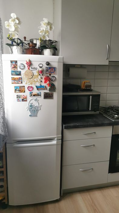 Mieszkanie do wynajęcia