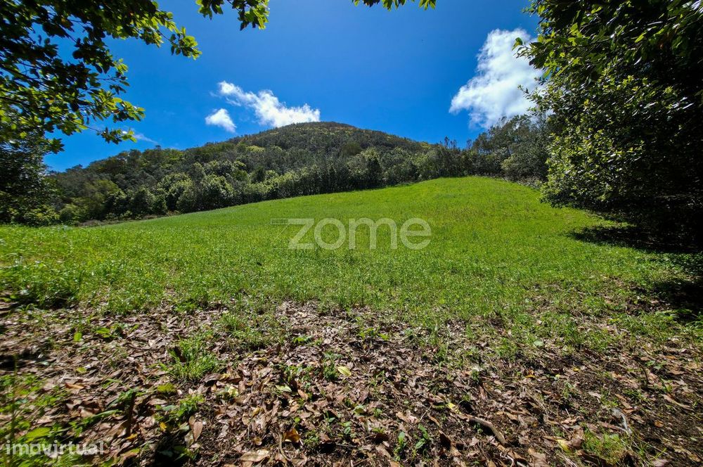 Terreno Agrícola com Vista Panorâmica – Pico da Pedra e Batalha